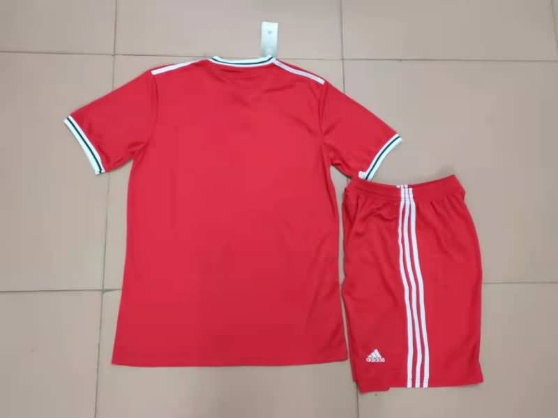 Wales 2022 Home Soccer Jersey