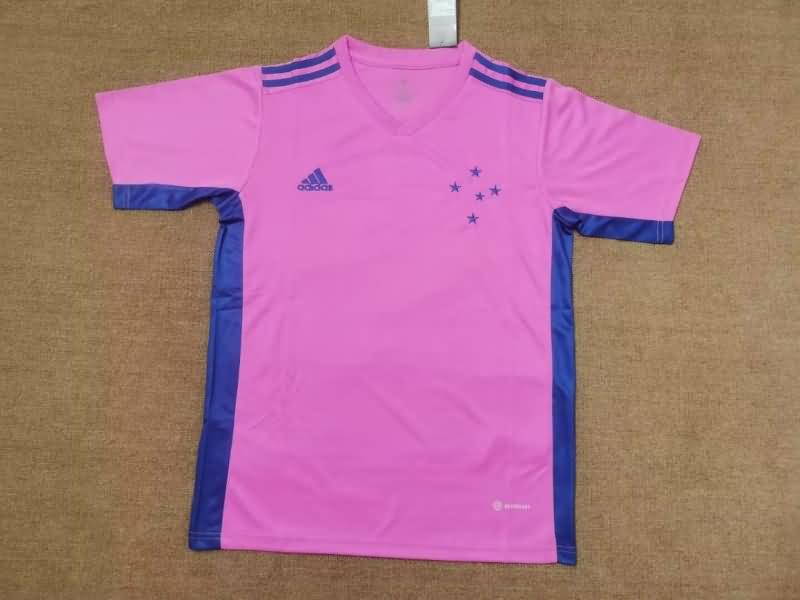 AAA(Thailand) Cruzeiro 2022 Pink Soccer Jersey