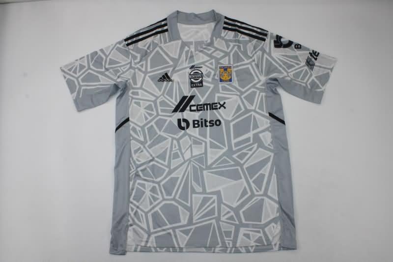 AAA(Thailand) Tigres Uanl 2022 Goalkeeper Grey Soccer Jersey