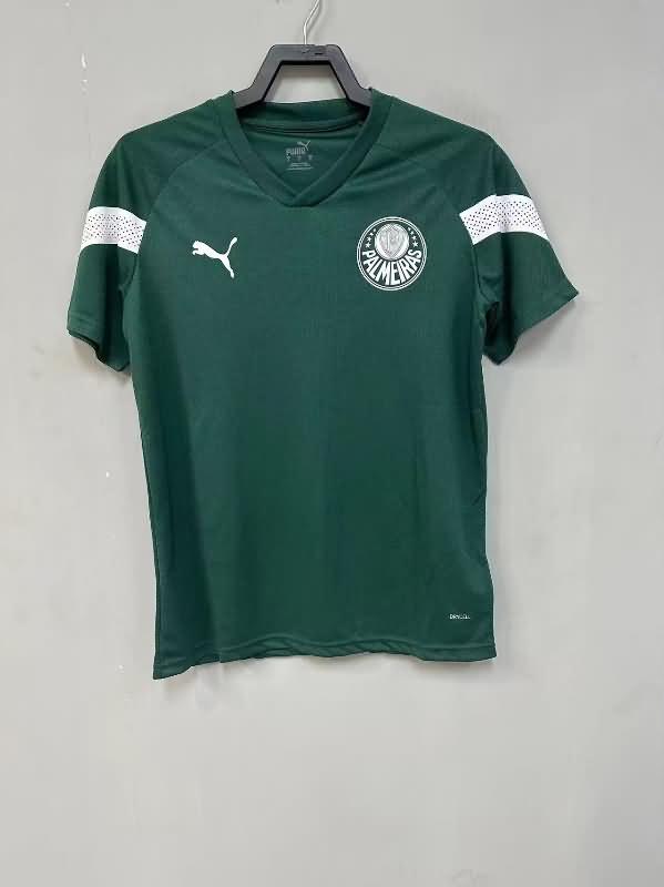 AAA(Thailand) Palmeiras 2023 Training Soccer Jersey