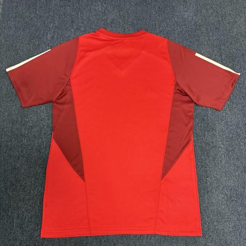 AAA(Thailand) Sport Club Internacional 2024 Training Soccer Jersey 02