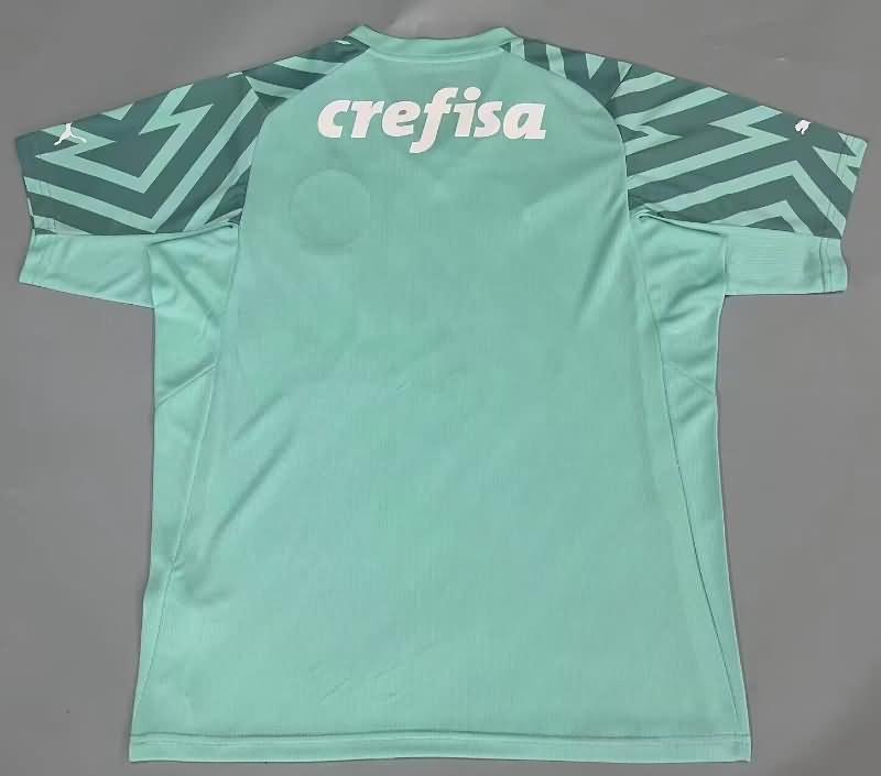 AAA(Thailand) Palmeiras 2024 Goalkeeper Green Soccer Jersey