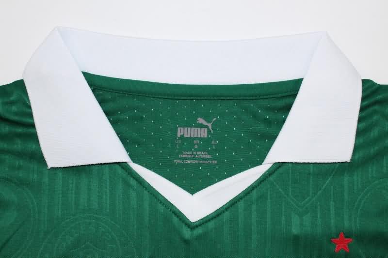 AAA(Thailand) Palmeiras 2024 Home Soccer Jersey (Player)