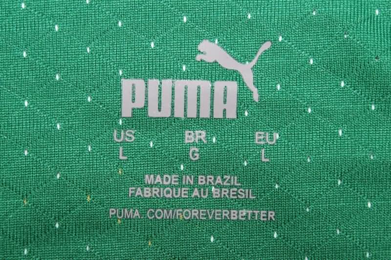 AAA(Thailand) Palmeiras 2024 Home Soccer Jersey (Player)