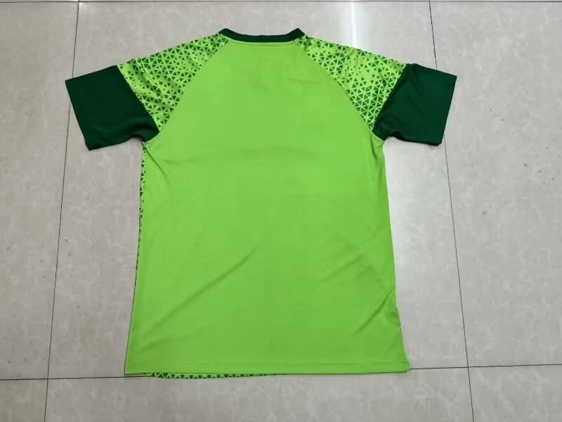 AAA(Thailand) Palmeiras 2024 Training Soccer Jersey 03