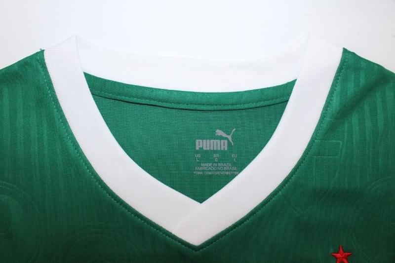 AAA(Thailand) Palmeiras 2024 Training Vest Soccer Jersey