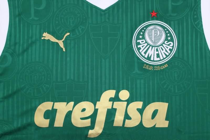 AAA(Thailand) Palmeiras 2024 Training Vest Soccer Jersey