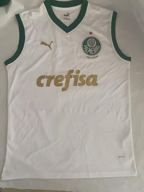 AAA(Thailand) Palmeiras 2024 Training Vest Soccer Jersey 02