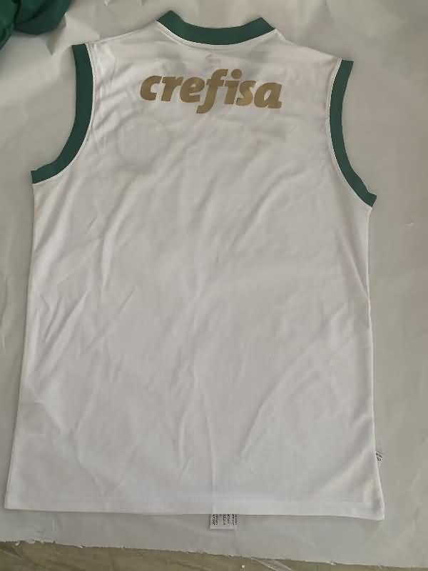 AAA(Thailand) Palmeiras 2024 Training Vest Soccer Jersey 02