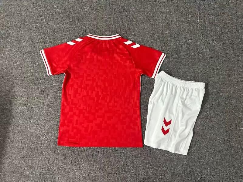 Denmark 2024 Kids Home Soccer Jersey And Shorts