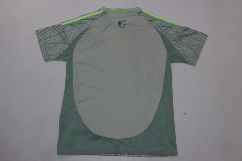 Mexico 2024 Kids Copa America Away Soccer Jersey And Shorts