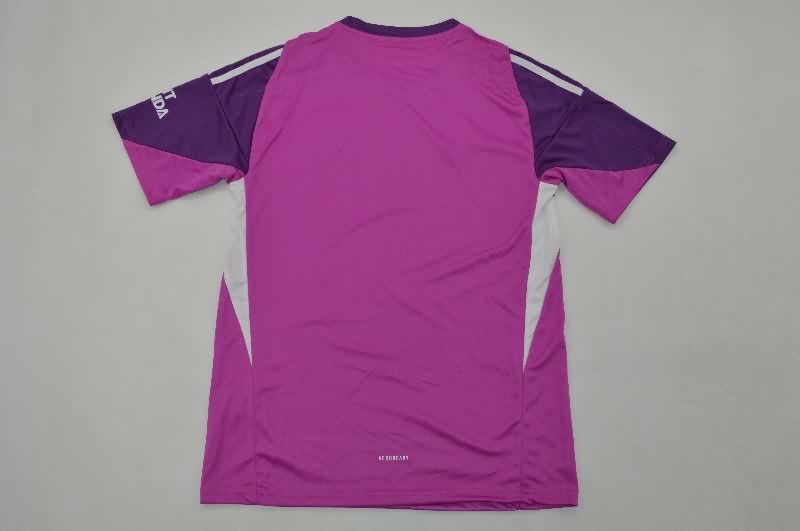 AAA(Thailand) Arsenal 25/26 Goalkeeper Purple Soccer Jersey