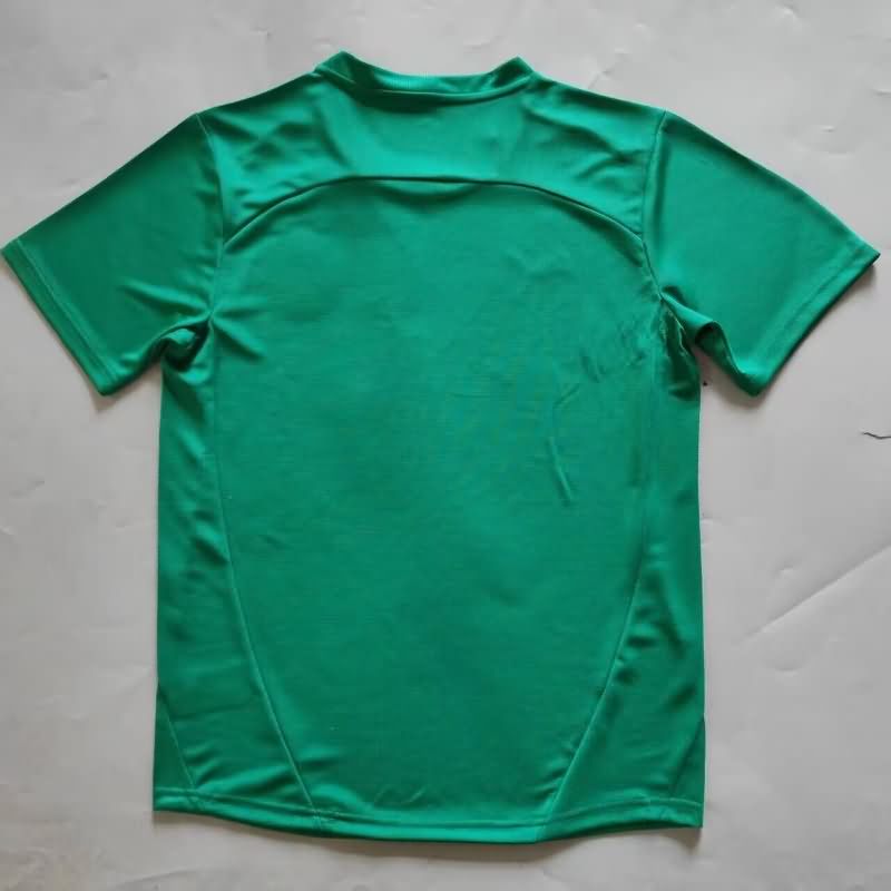 AAA(Thailand) Bahia 2025 Goalkeeper Green Soccer Jersey