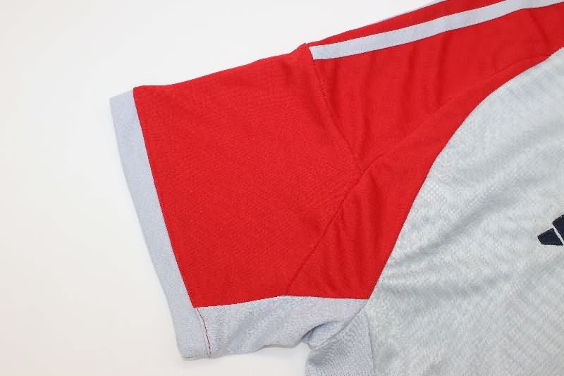 AAA(Thailand) Bayern Munich 25/26 Grey Soccer Jersey