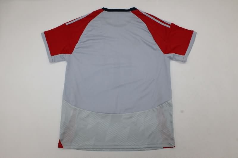 AAA(Thailand) Bayern Munich 25/26 Grey Soccer Jersey