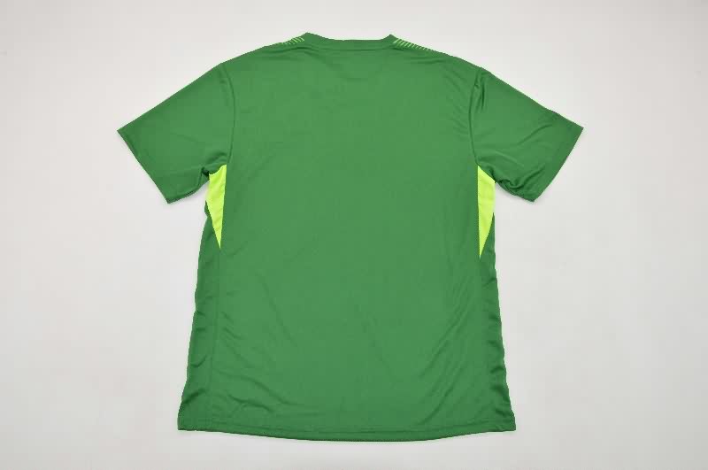 AAA(Thailand) Birmingham City 25/26 Goalkeeper Green Soccer Jersey