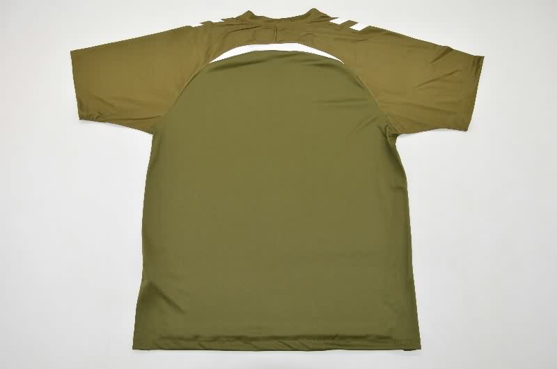 AAA(Thailand) Celta 25/26 Training Soccer Jersey