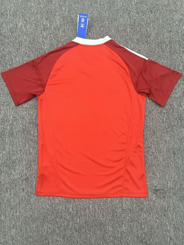 AAA(Thailand) Flamengo 2025 Goalkeeper Red Soccer Jersey