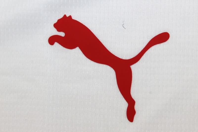 AAA(Thailand) Galatasaray 25/26 Away Soccer Jersey