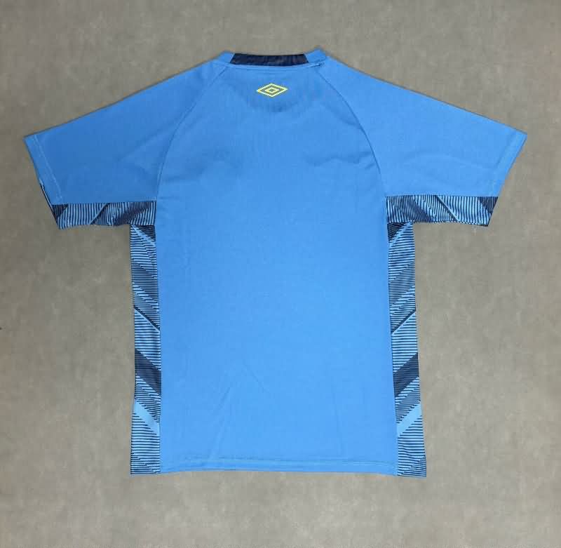 AAA(Thailand) Gremio 2025 Goalkeeper Blue Soccer Jersey
