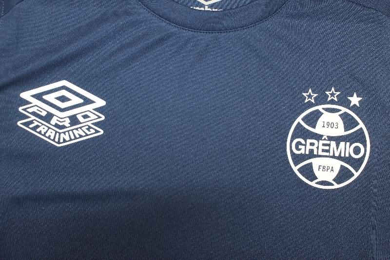 AAA(Thailand) Gremio 2025 Training Vest Soccer Jersey 02