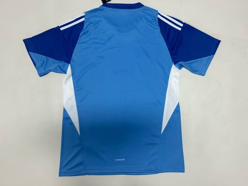AAA(Thailand) Juventus 25/26 Goalkeeper Blue Soccer Jersey