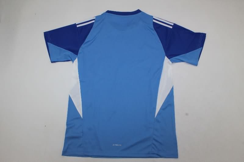 AAA(Thailand) Newcastle United 25/26 Goalkeeper Blue Soccer Jersey