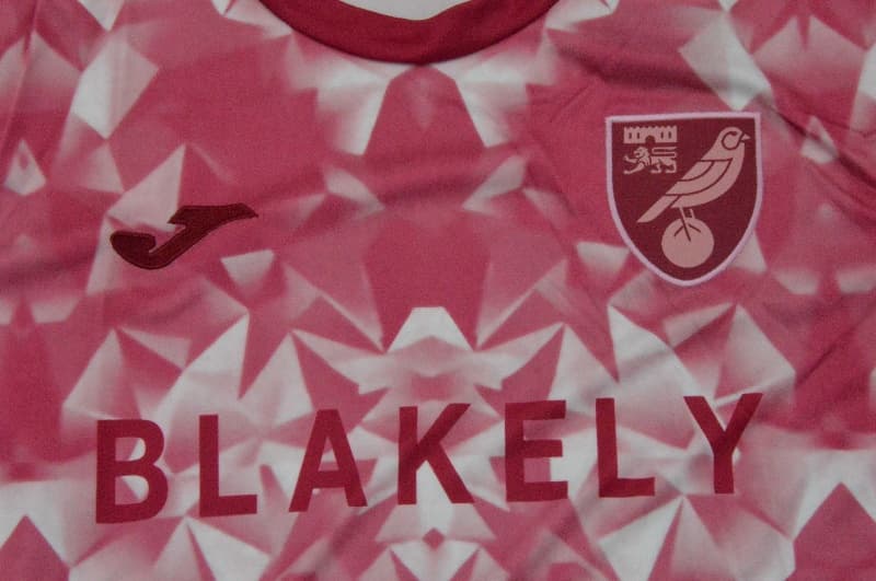 AAA(Thailand) Norwich 25/26 Third Soccer Jersey