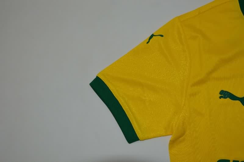 AAA(Thailand) Palmeiras 25/26 Third Soccer Jersey (Player)