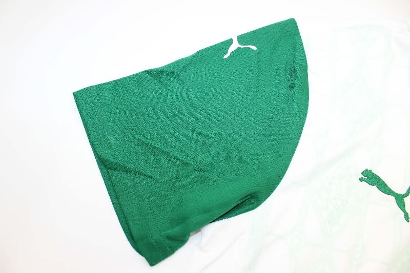AAA(Thailand) Palmeiras 2025 Away Soccer Jersey