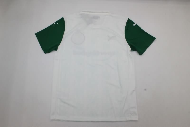 AAA(Thailand) Palmeiras 2025 Away Soccer Jersey