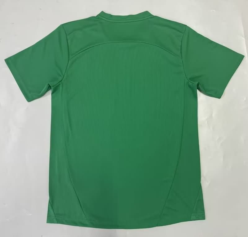AAA(Thailand) Palmeiras 2025 Goalkeeper Green Soccer Jersey