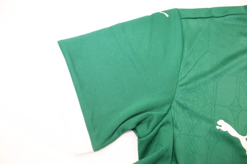 AAA(Thailand) Palmeiras 2025 Home Soccer Jersey