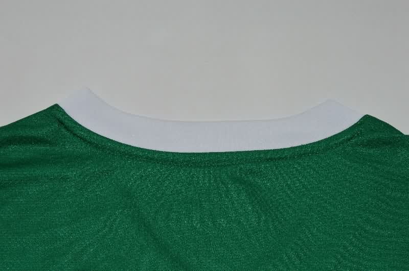 AAA(Thailand) Palmeiras 2025 Home Soccer Jersey (Player)