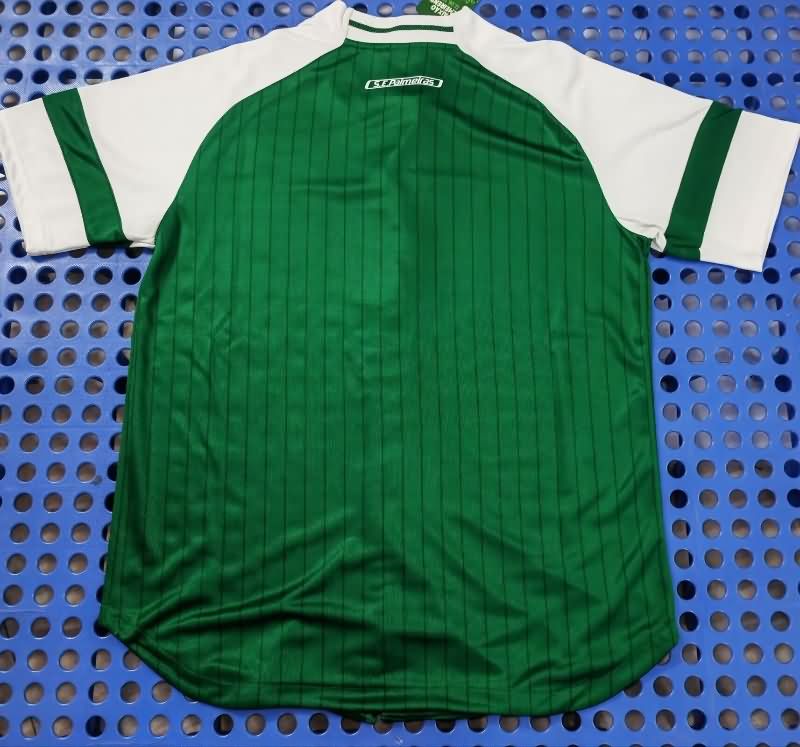 AAA(Thailand) Palmeiras 2025 Green Baseball Jersey