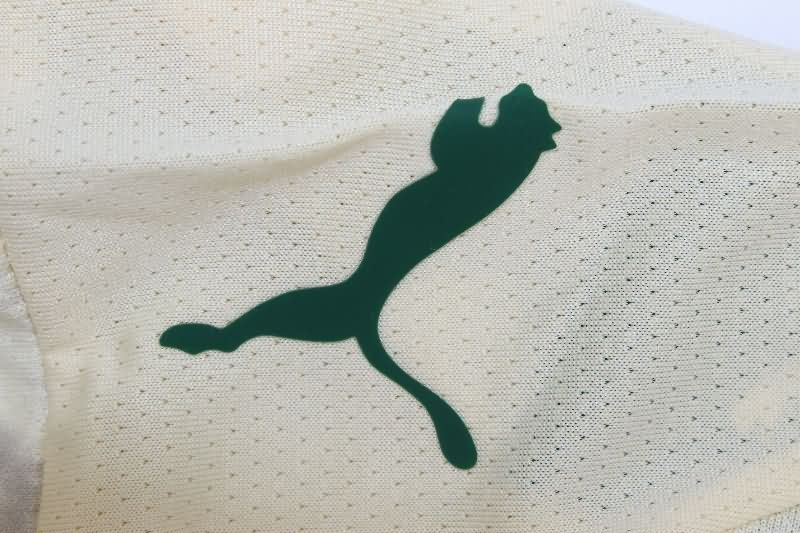 AAA(Thailand) Palmeiras 2025 Third Soccer Jersey (Player)