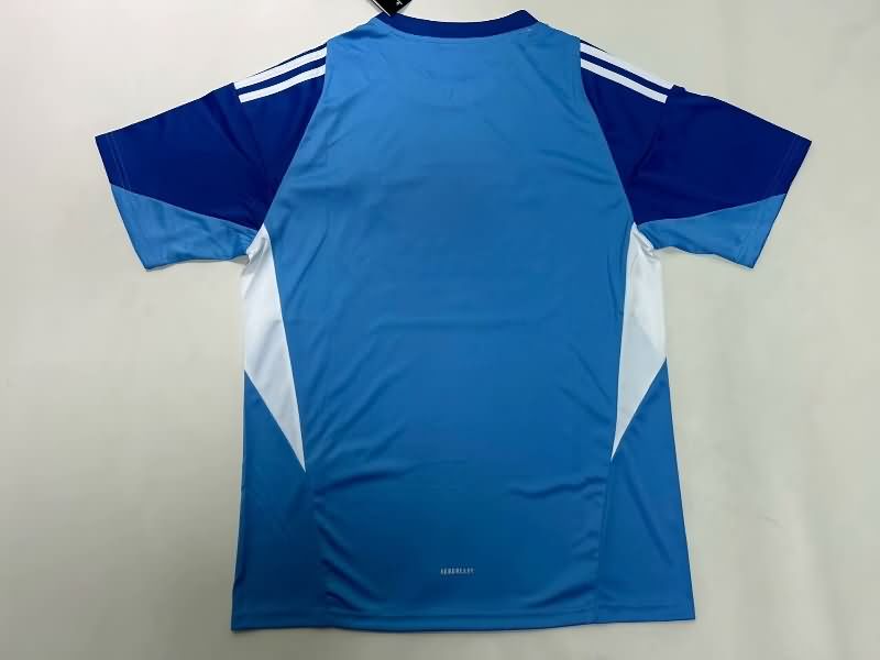 AAA(Thailand) Real Madrid 25/26 Goalkeeper Blue Soccer Jersey Leaked