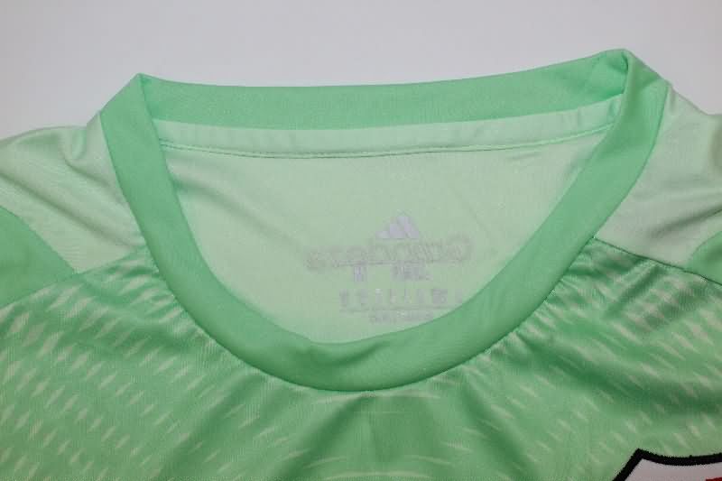 AAA(Thailand) River Plate 2025 Goalkeeper Green Soccer Jersey