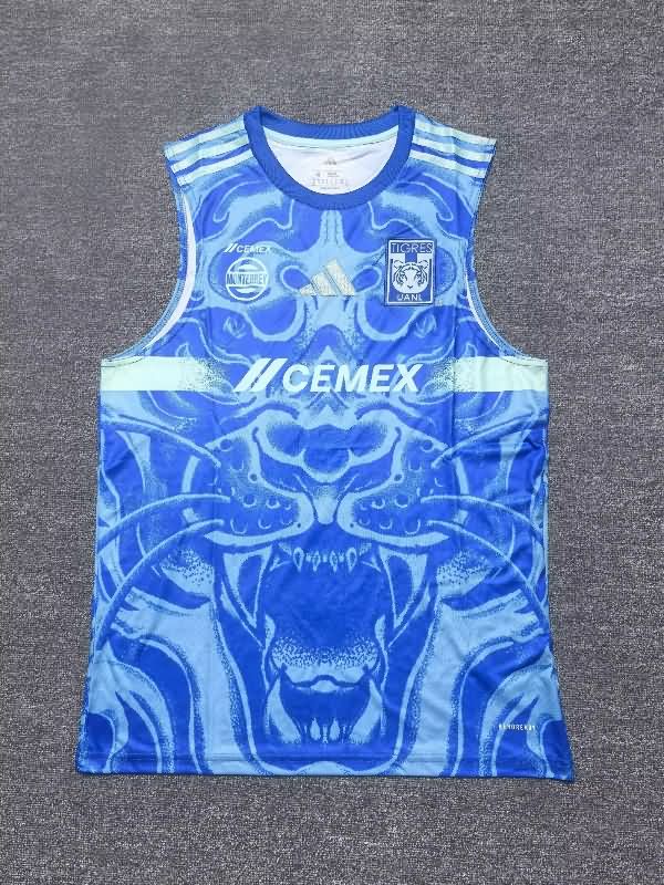 AAA(Thailand) Tigres Uanl 25/26 Training Vest Soccer Jersey 02
