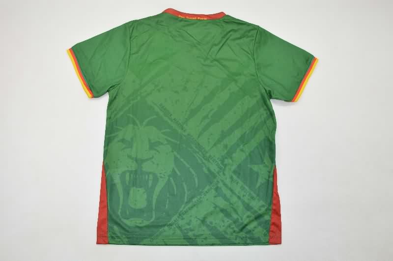 Cameroon 2025 Kids Home Soccer Jersey And Shorts
