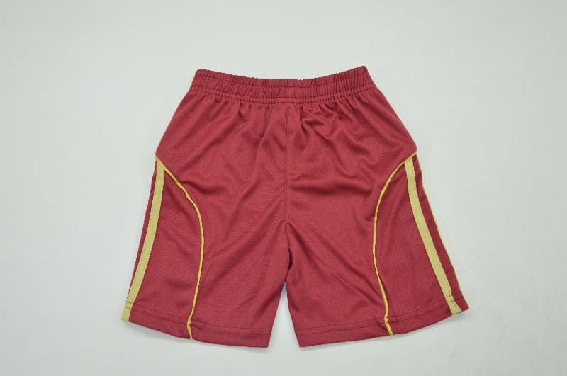 Hamburg 25/26 Kids Special Soccer Jersey And Shorts