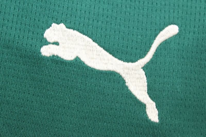 AAA(Thailand) Portugal 2025 Home Soccer Shorts