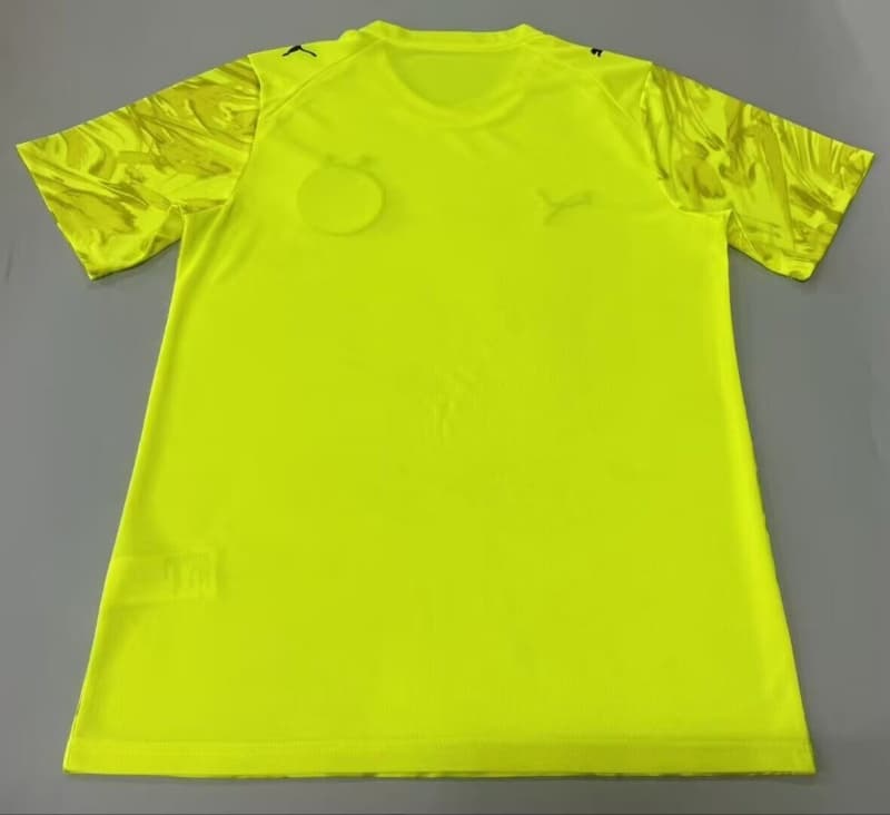 AAA(Thailand) Bahia 2026 Goalkeeper Green Soccer Jersey