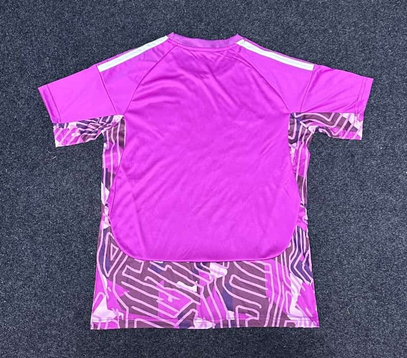 AAA(Thailand) Colo Colo 2026 Goalkeeper Purple Soccer Jersey