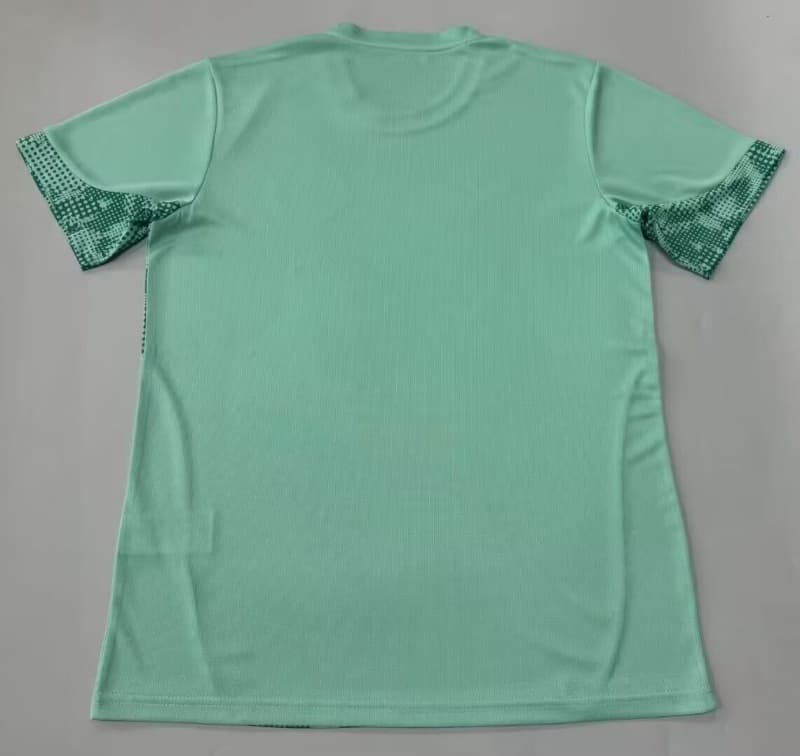 AAA(Thailand) Palmeiras 2026 Training Soccer Jersey