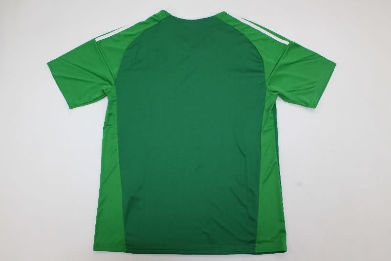 AAA(Thailand) Argentina 2025 Goalkeeper Green Soccer Jersey