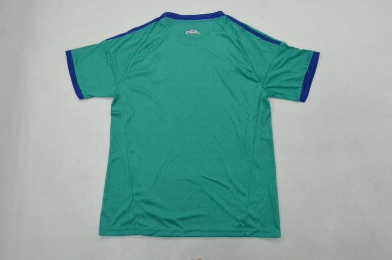 AAA(Thailand) Argentina 2026 World Cup Goalkeeper Green Soccer Jersey