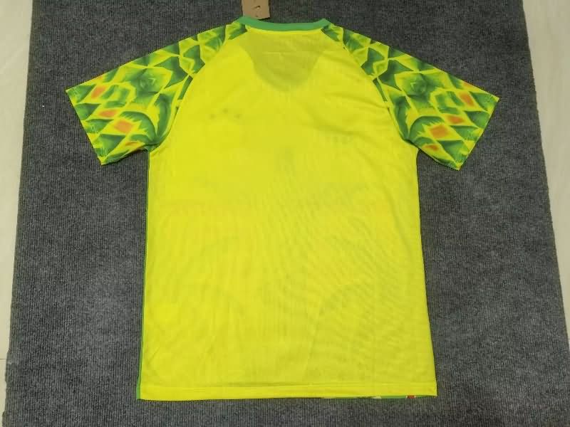 AAA(Thailand) Brazil 2025 Special Soccer Jersey 16
