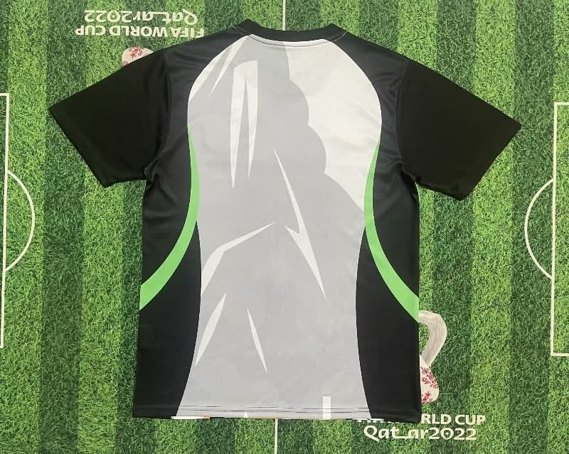 AAA(Thailand) Brazil 2025 Special Soccer Jersey 17