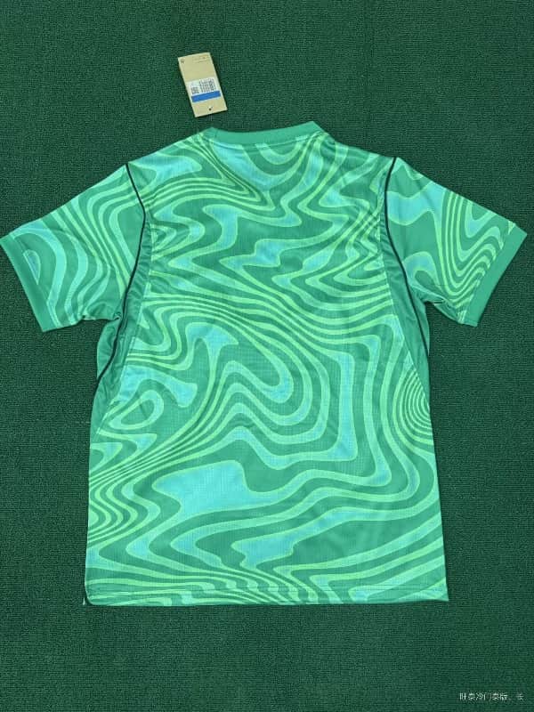 AAA(Thailand) Brazil 2026 Goalkeeper Green Soccer Jersey 02